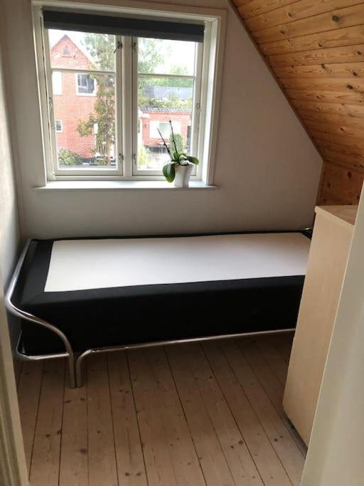 Hyggeligt Byhus Taet Ved Skov Og Togstation Ålbæk Buitenkant foto